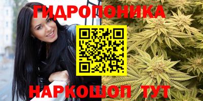 jwh Ярославль