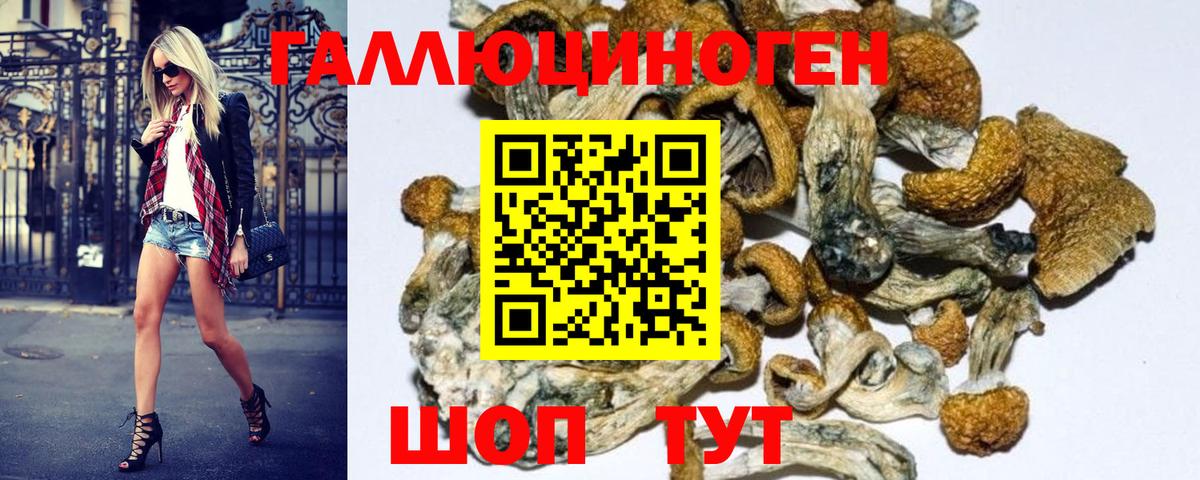 Галлюциногенные грибы MAGIC MUSHROOMS  Вход с VPN  цена   Борисоглебск 